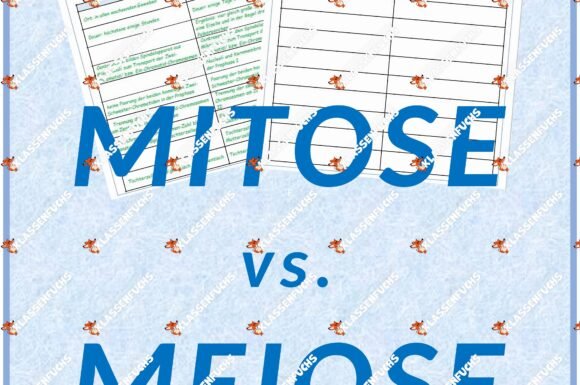 Biologie Mitose Vs Meiose Klassenfuchs